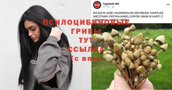 ALPHA-PVP Баксан