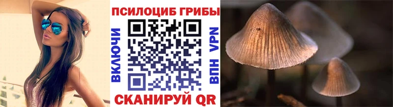 Псилоцибиновые грибы Cubensis дарнет шоп Лесозаводск